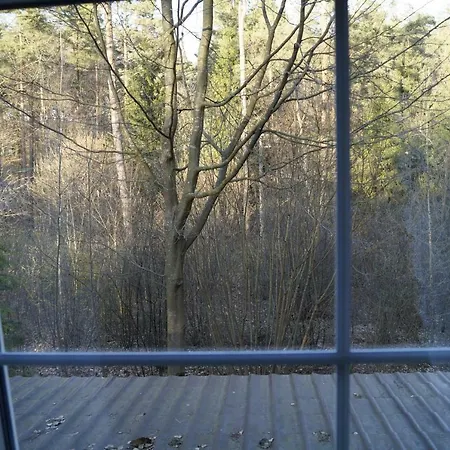 Uroczy Do Wynajecia W Bogaczewie Nad Jeziorem Narie Holiday home